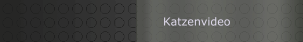 Katzenvideo